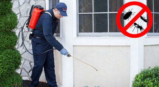 Kayapınar Bit İlaçlama böcek ilaçlama ve haşere kontrolü — ilaclama-tr.com